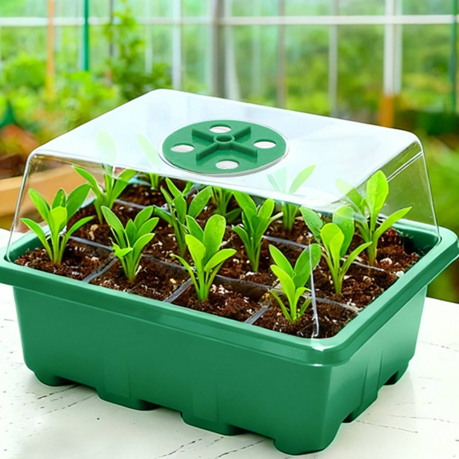 Self Watering Seedling Tray: image 12